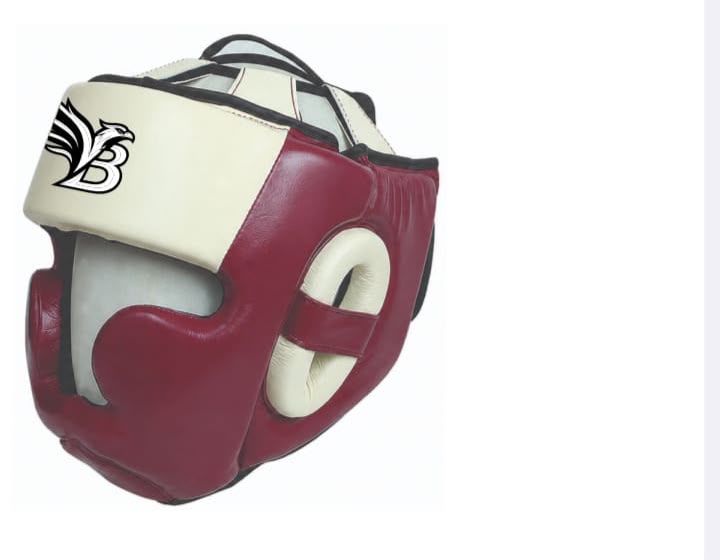 Guardian head guard